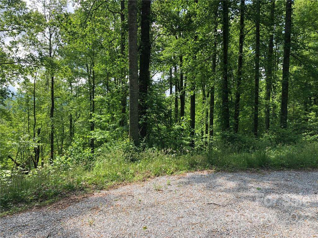 Lot #36 Laurel Creek Drive - Photo 1