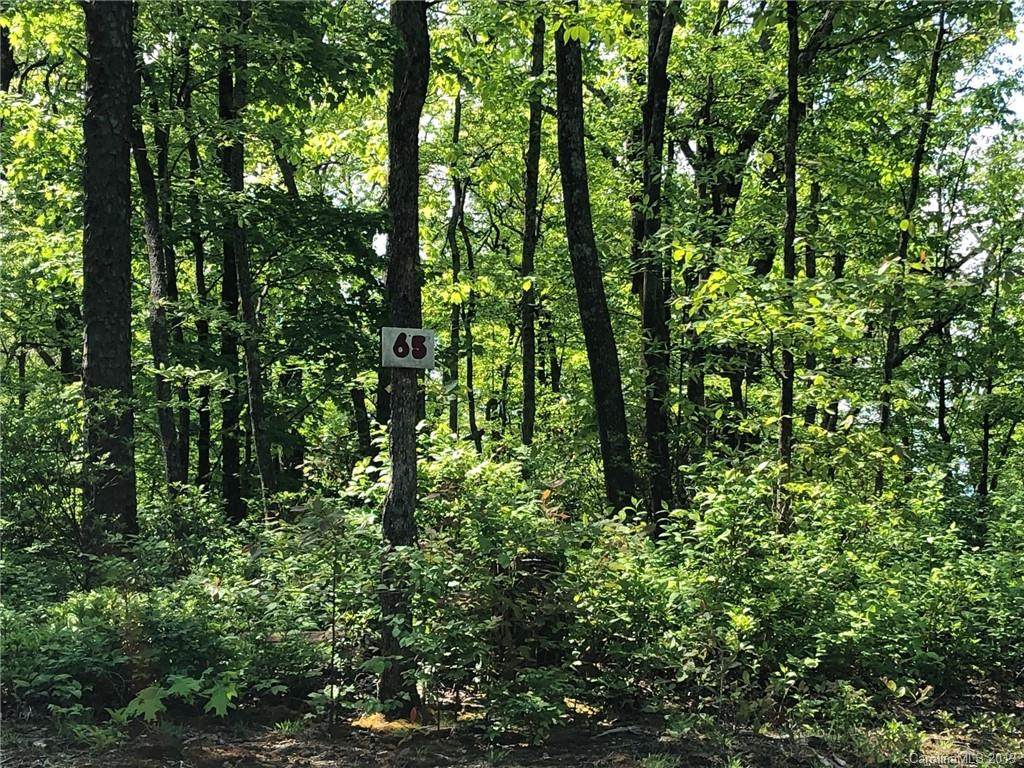 Lot #65 Marshall Ridge Road - Photo 1