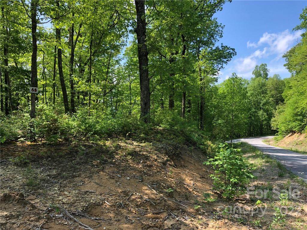 Lot #65 Marshall Ridge Road - Photo 1