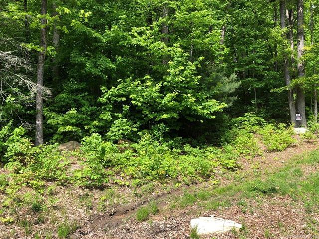 Lot #67 Marshall Ridge Road - Photo 1