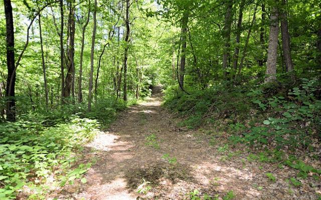 0 Fork Creek Road - Photo 1