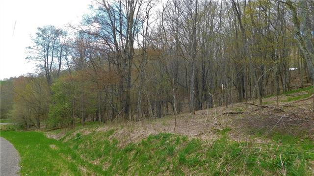 0 Old Farm Road - Photo 1