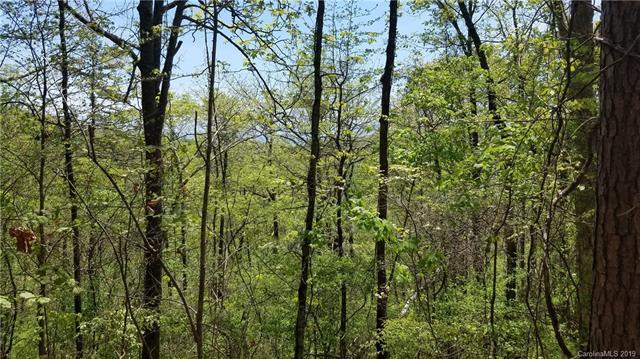 lot 33 and 35 Valley View Drive - Photo 1