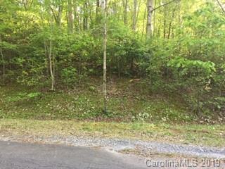 00 Duck Pond Lane - Photo 1
