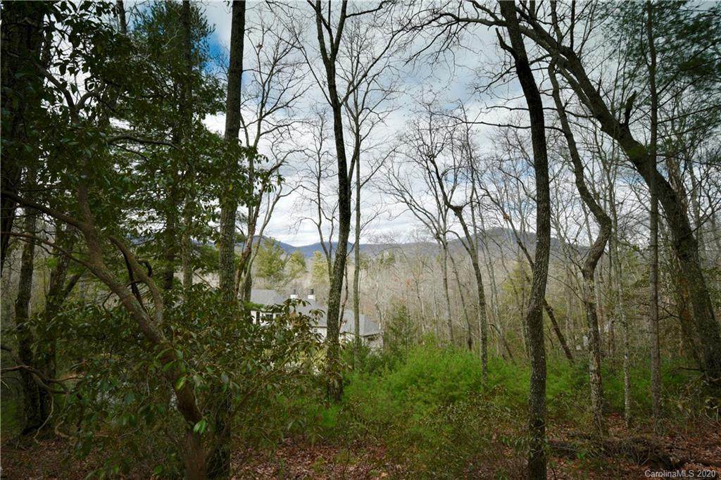 48 Dividing Ridge Trail - Photo 1