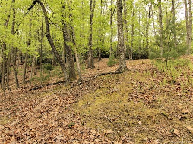 61 Buckhead Trail - Photo 1