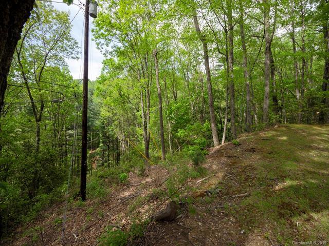 Lot 14 Deer Path Road - Photo 1