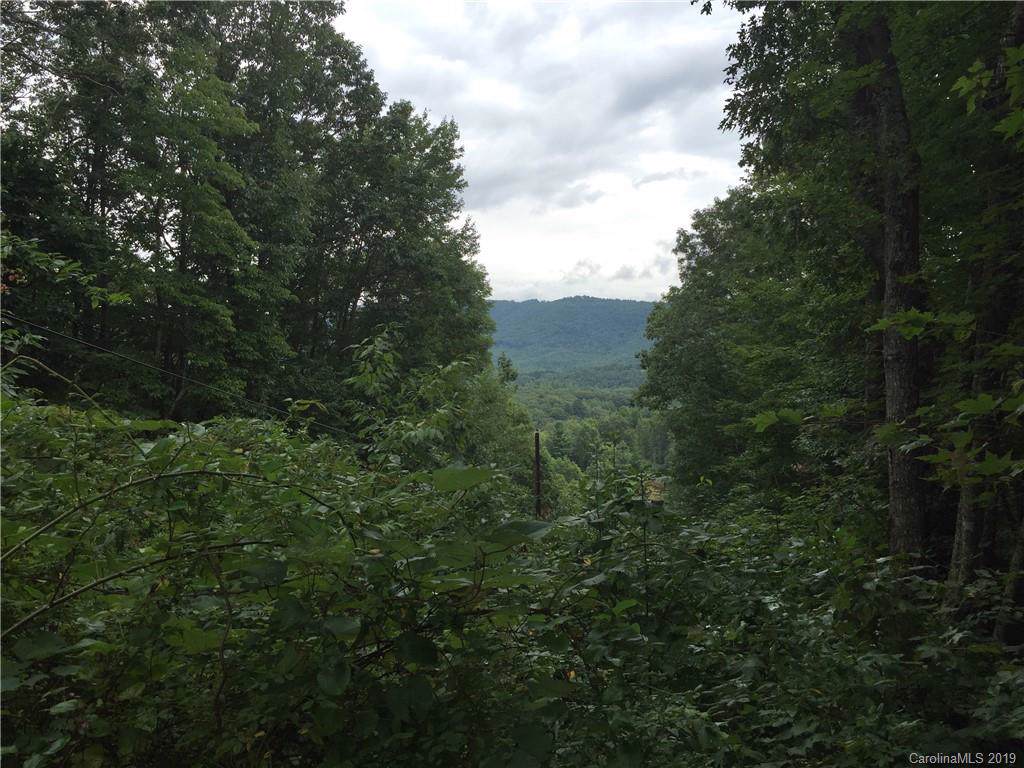 000 White Oak Road - Photo 1