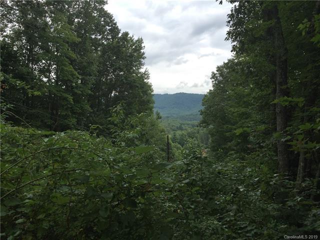 000 White Oak Road - Photo 1