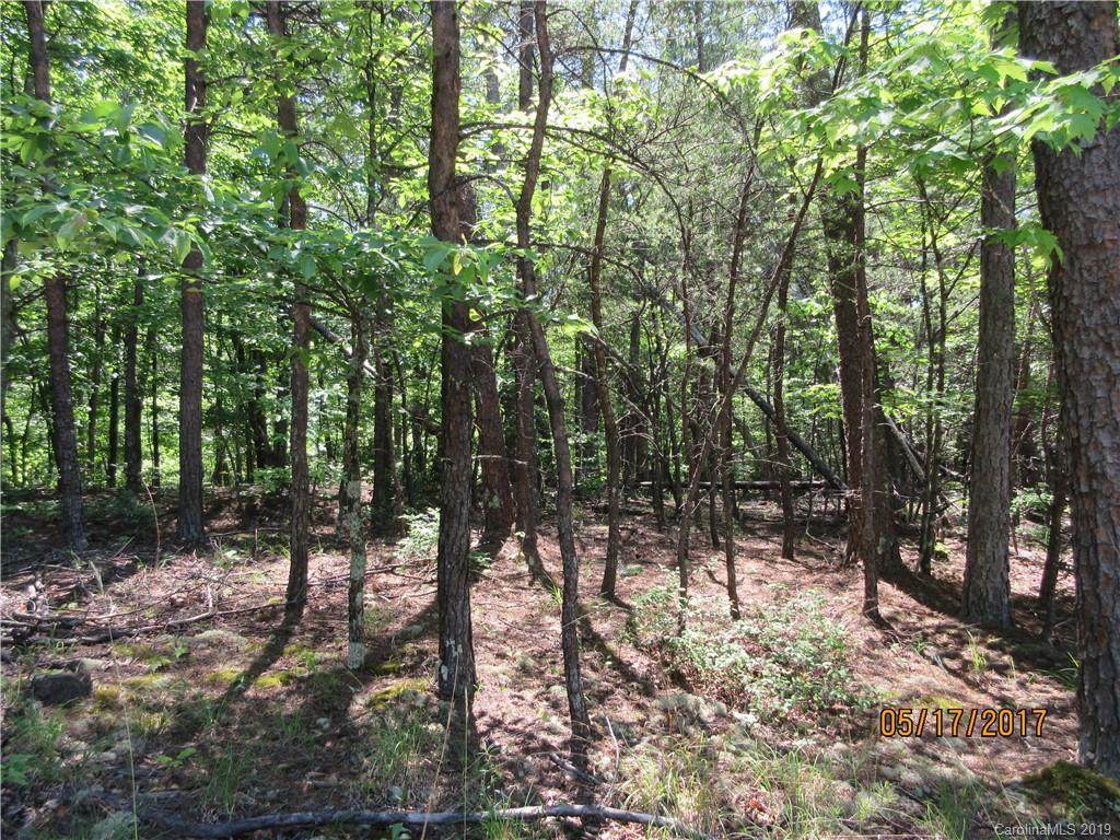 00 Buffalo Shoals Road - Photo 1