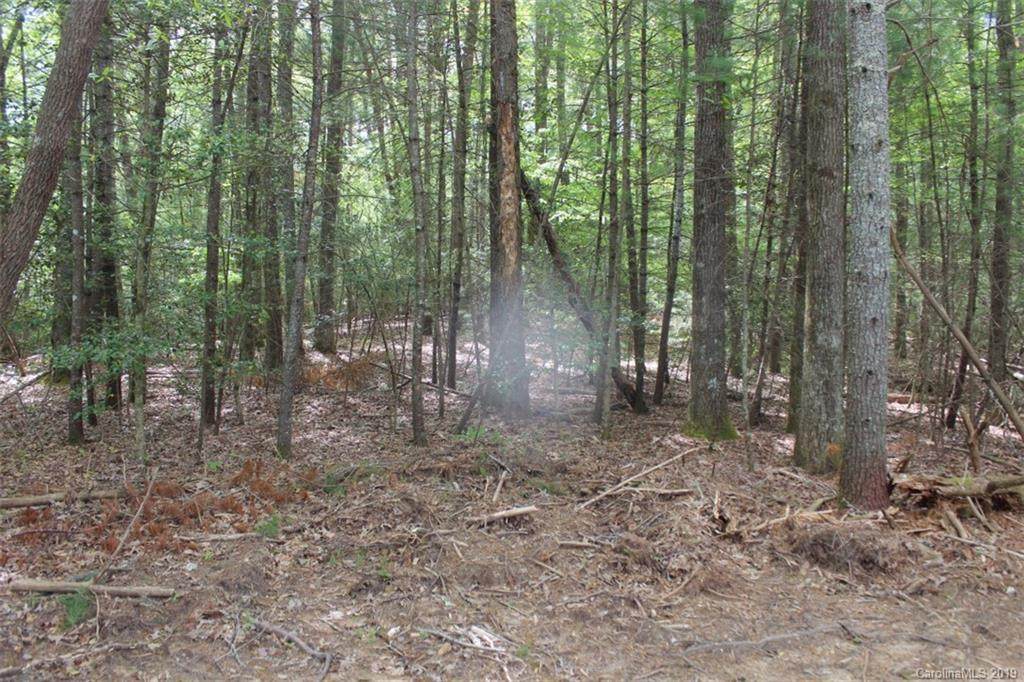 000 Sentell Creek Court - Photo 1