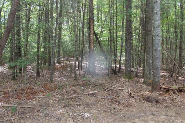000 Sentell Creek Court - Photo 1
