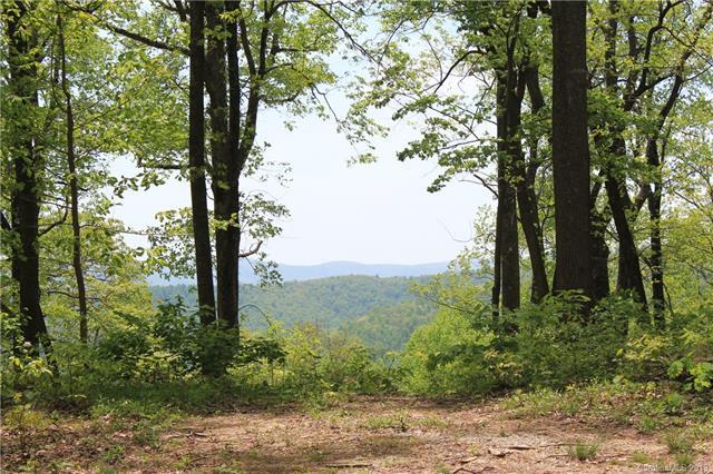 000000 Mcalpine Mountain Road - Photo 1