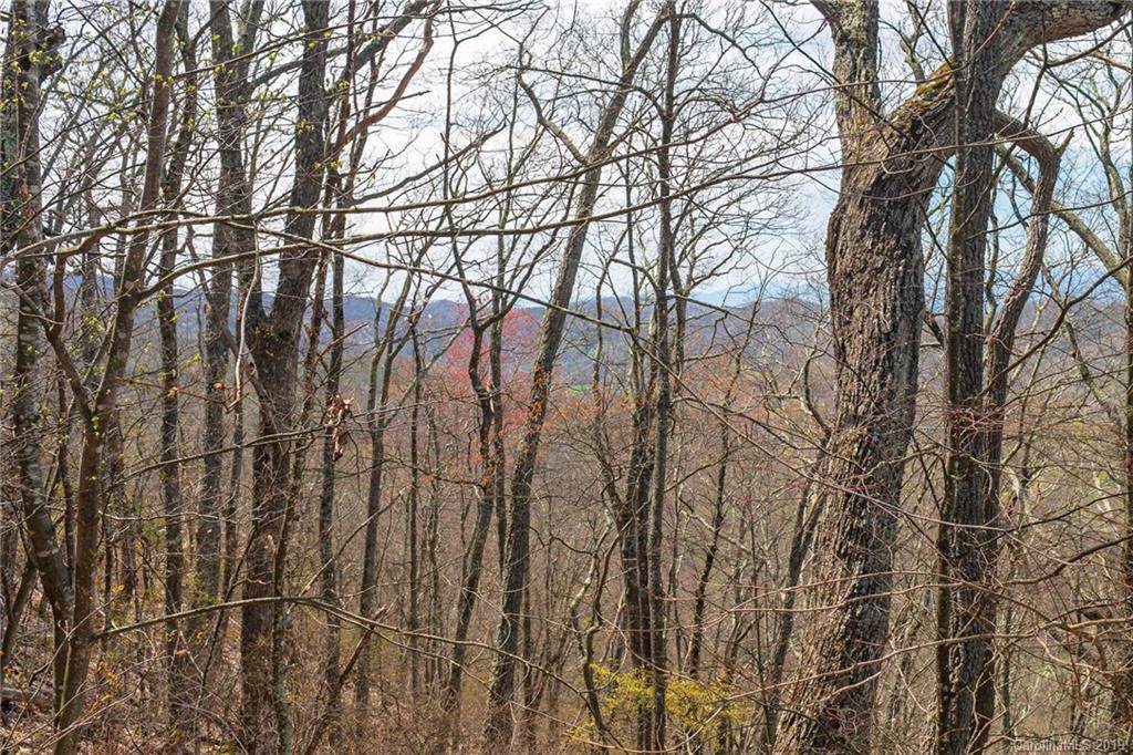 Lot 84 Ridge Point View - Photo 1