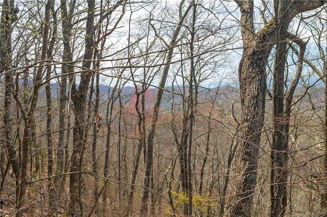 Lot 84 Ridge Point View - Photo 1