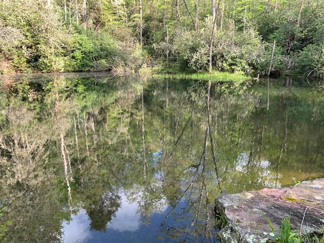 Lot 84R Laurel Thicket Lane - Photo 1