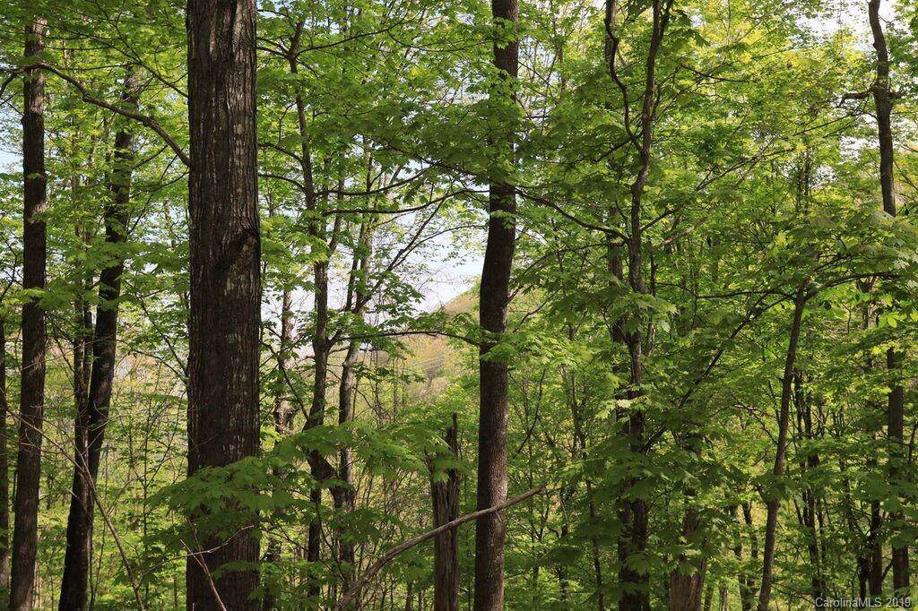 Lot 156 Rocky Knob Loop - Photo 1