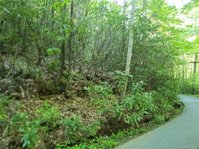 Lot 15,16,& 53 Summer Haven Road - Photo 1