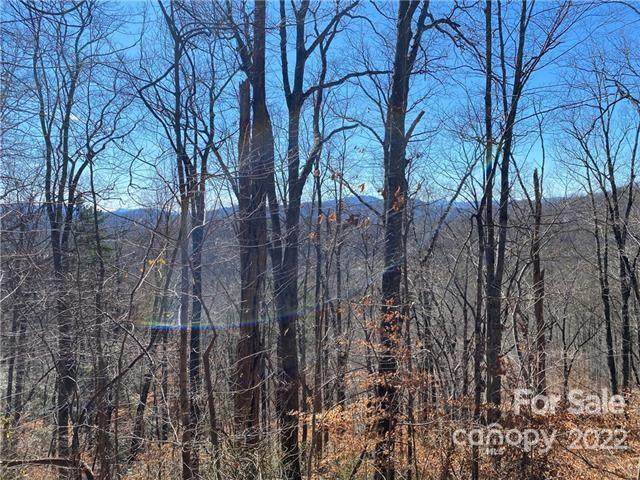 V/L Mountain Crest Drive - Photo 1