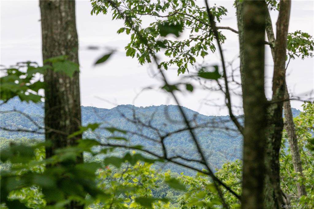 Lot 25 Austin Mountain Road - Photo 1