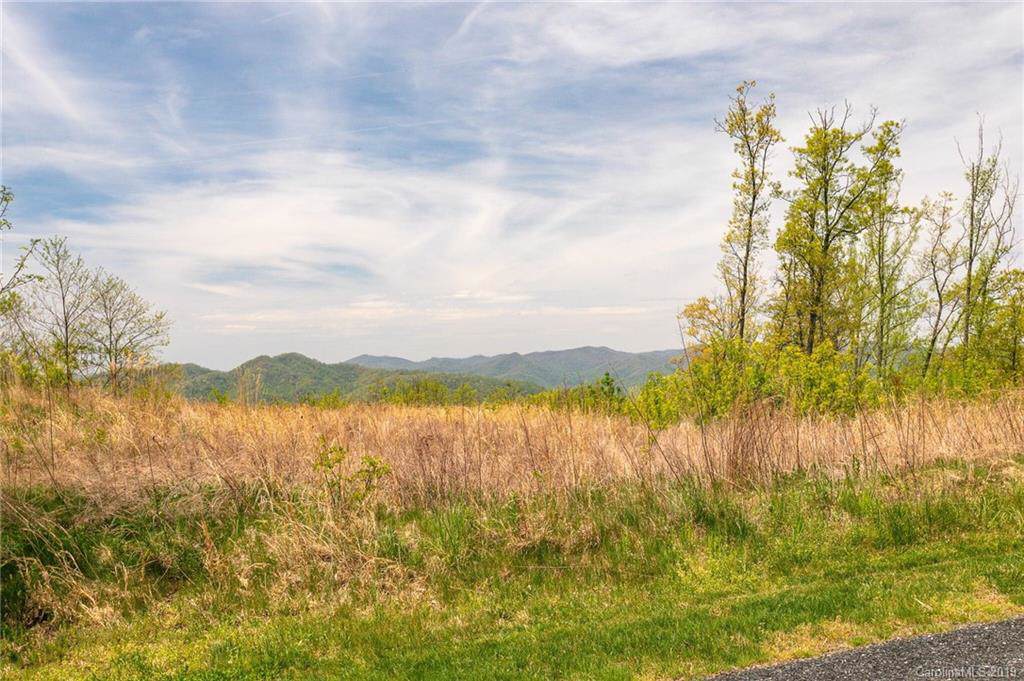 Lot 25 Andrew Banks Road - Photo 1