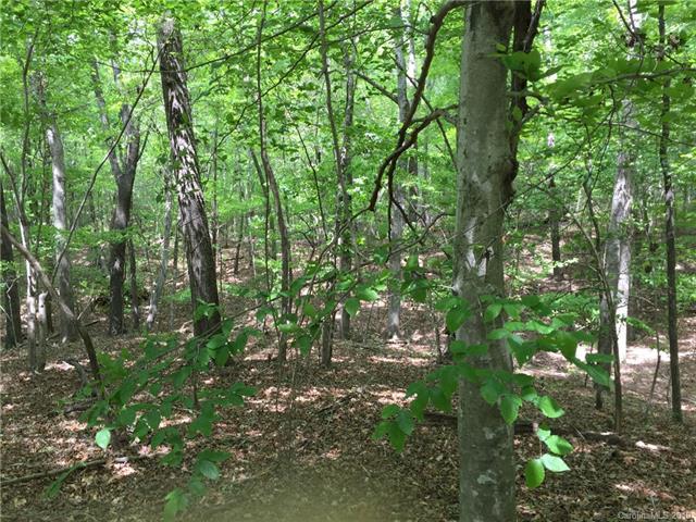 XX Old Ridge Road - Photo 1