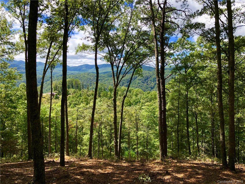 75 Raccoon Run - Photo 1
