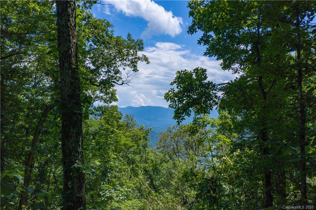 Lot 22 Elk Trail - Photo 1