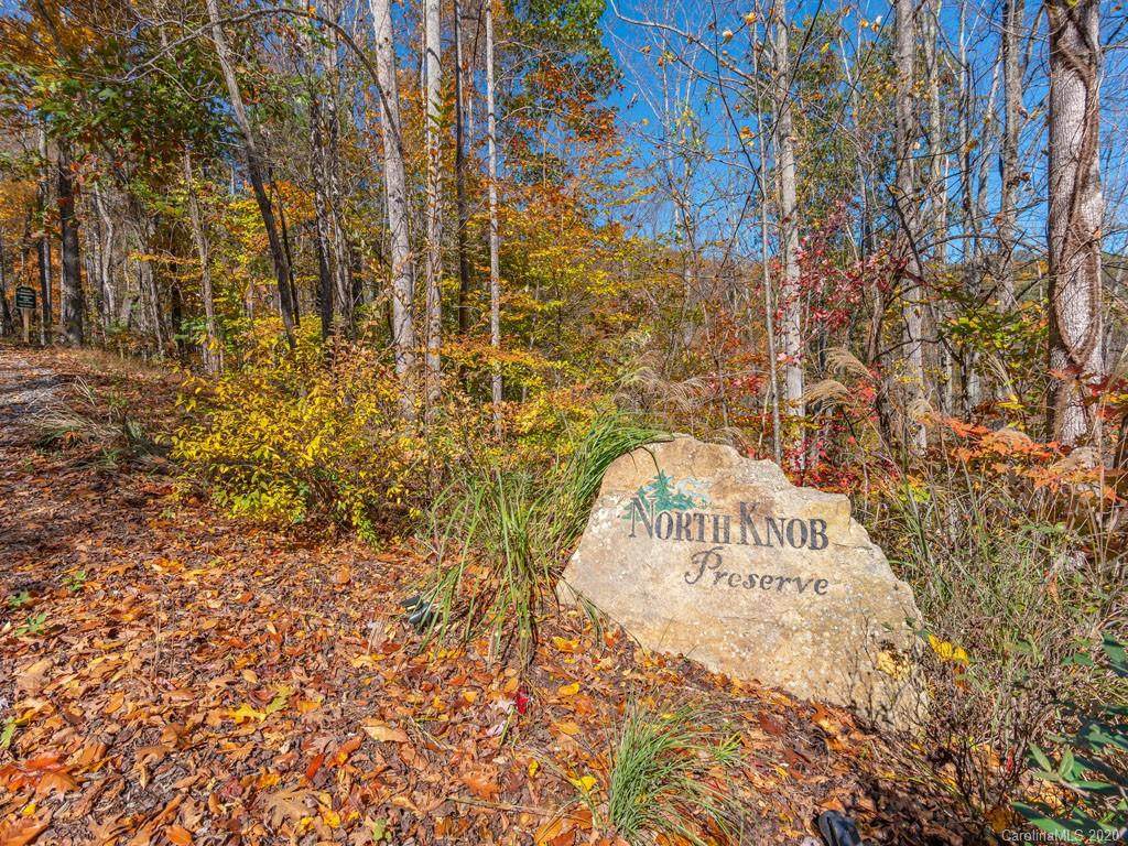 96 North Knob Lane - Photo 1