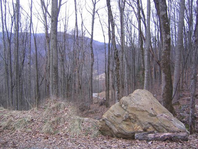 96 North Knob Lane - Photo 1