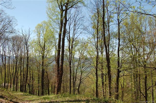 111 Vizsla Way - Photo 1