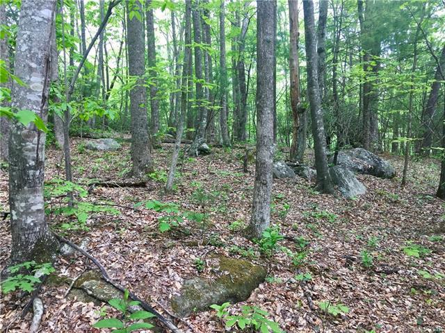 TBD off of Crab Creek Road - Photo 1