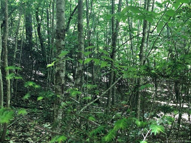 LOT 57 Clear Spring Trail - Photo 1