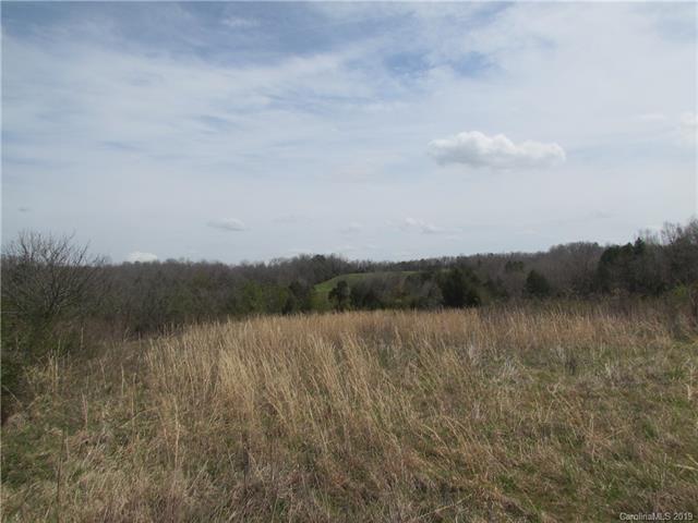 Lot 3a Long Run Farm Road - Photo 1