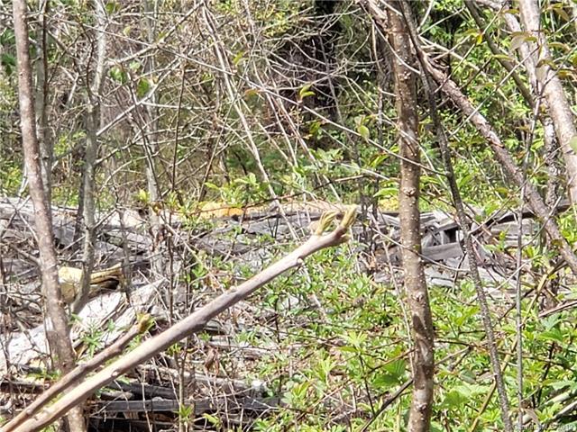 0 Harrill Dairy Road - Photo 1