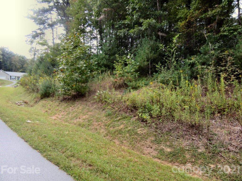 lot 4 Oxford Court - Photo 1