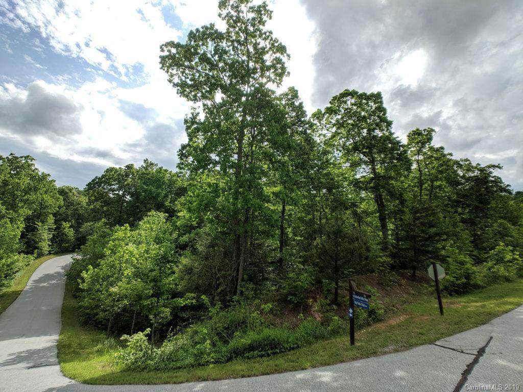 Lot #184 Catawba Falls Parkway - Photo 1