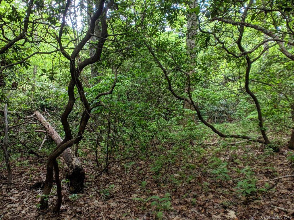 Lot #184 Catawba Falls Parkway - Photo 1