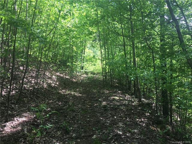 Lot 87 Blue Mist Way - Photo 1