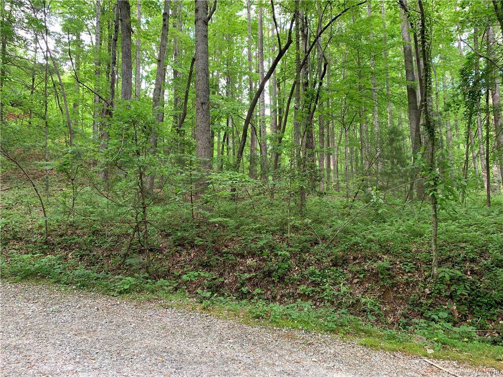 0 Quail Hollow Road - Photo 1