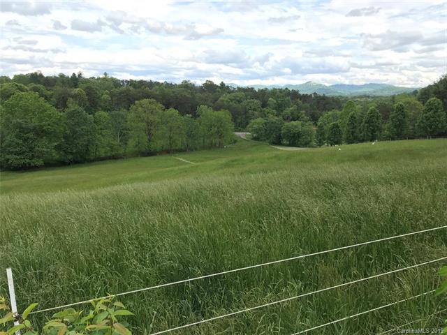 00 Jenkins Valley Road - Photo 1
