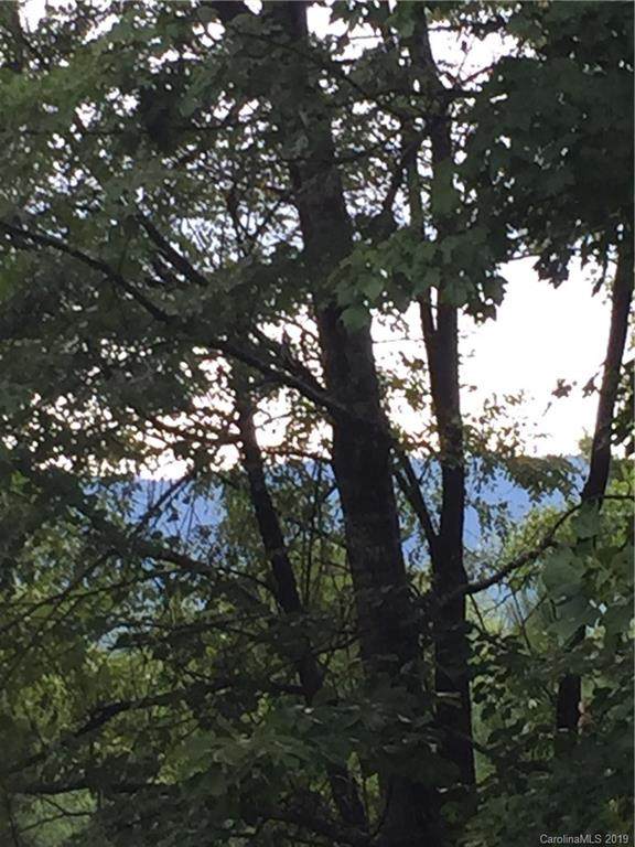 Lot 20 Loblolly Lane - Photo 1