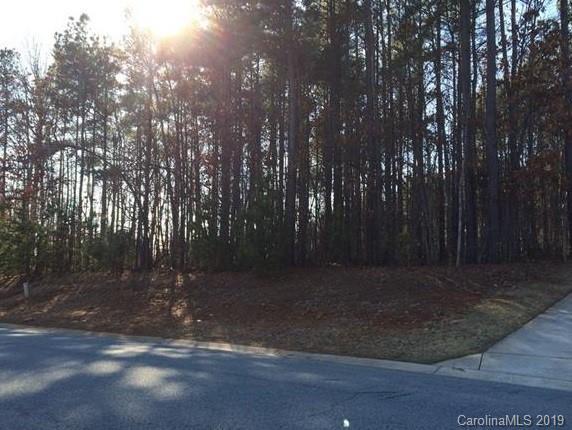 Lot #311 Rustling Woods Drive - Photo 1