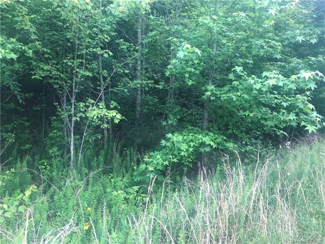 lot 28 Back Acres Lane - Photo 1