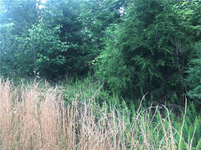Lot 29 Back Acres Lane - Photo 1