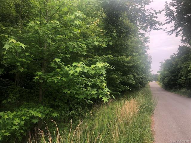 Lot 30 Back Acres Lane - Photo 1