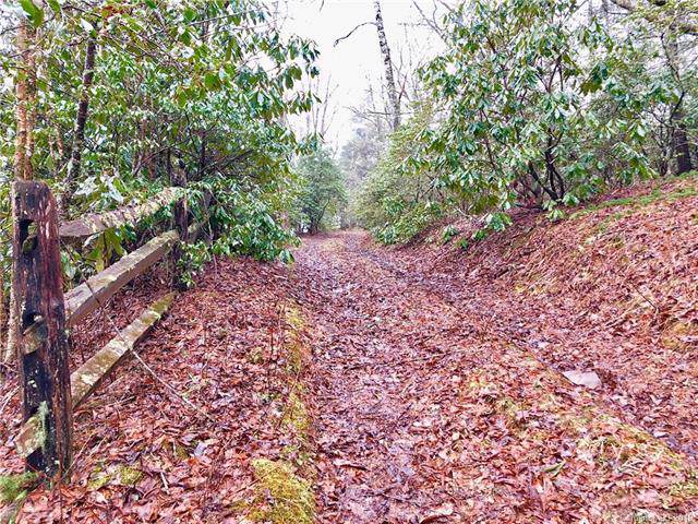 3.93 acres Fairview Forest Drive - Photo 1