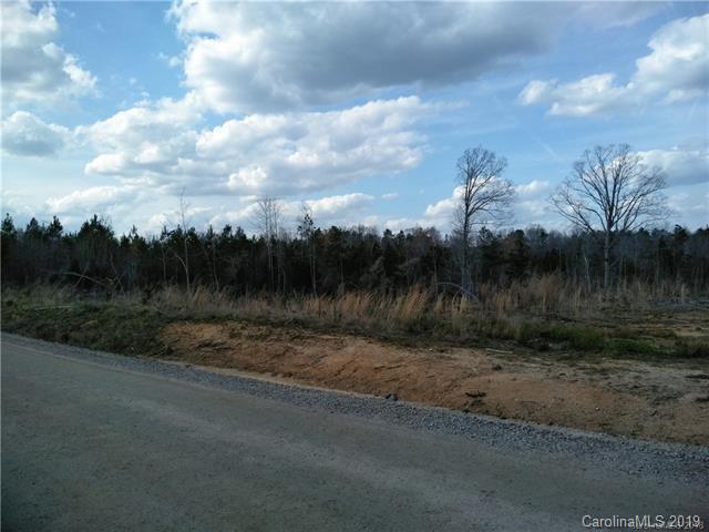 00 Logging Road - Photo 1