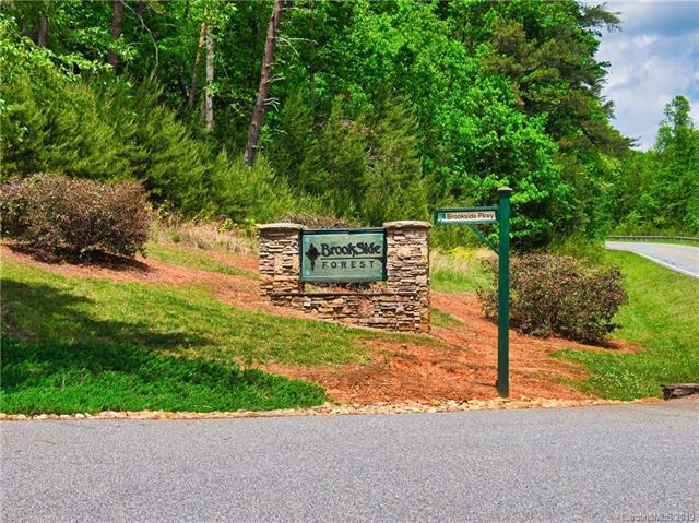 LOT 23 Brookside Parkway - Photo 1