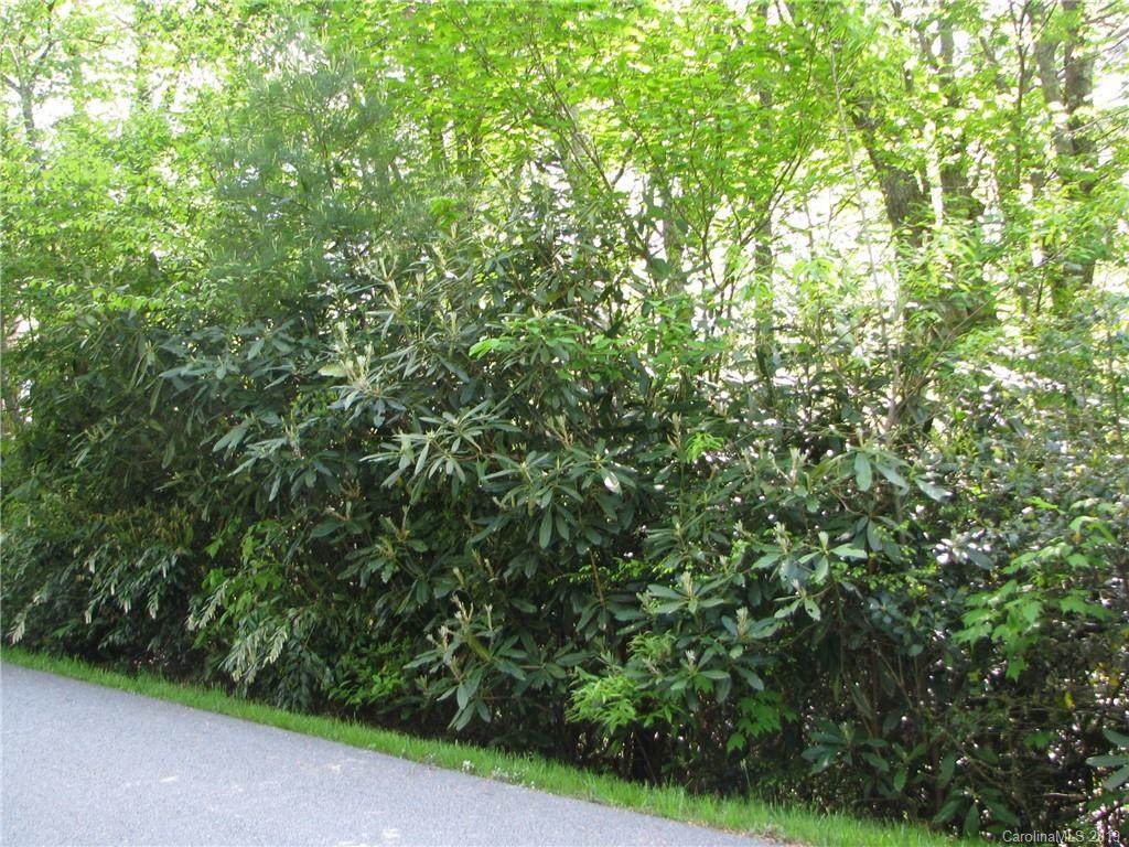 226 Sunrise Ridge Court - Photo 1